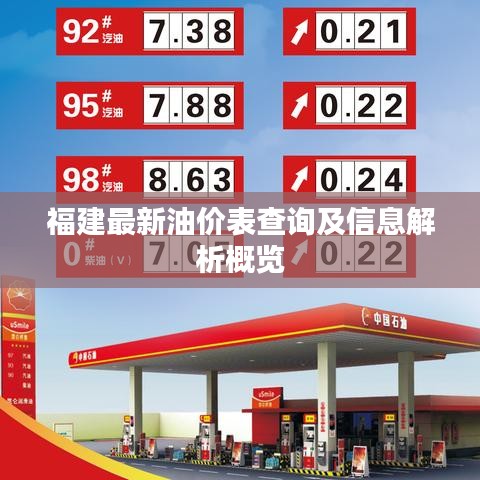 福建最新油价表查询及信息解析概览