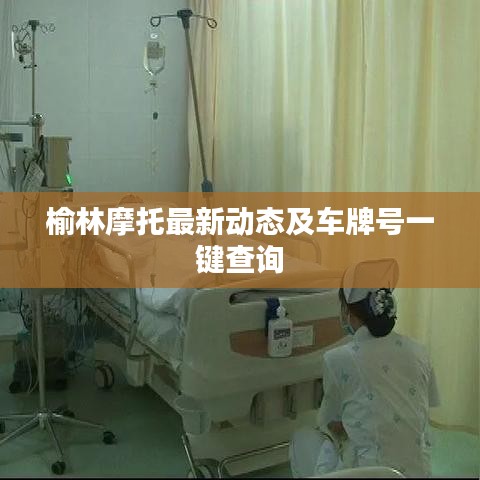 榆林摩托最新动态及车牌号一键查询