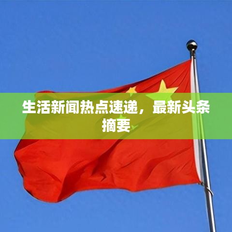 成功案例 第8页