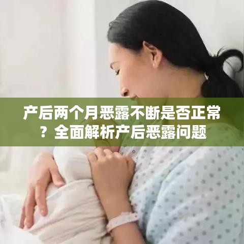 鸢飞戾天