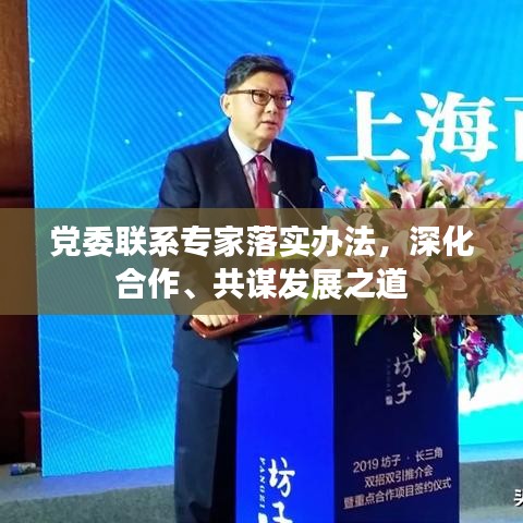 党委联系专家落实办法，深化合作、共谋发展之道