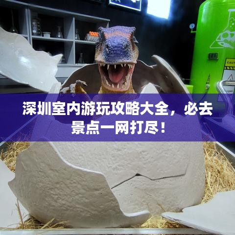 真独简贵