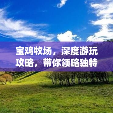 宝鸡牧场，深度游玩攻略，带你领略独特风情！
