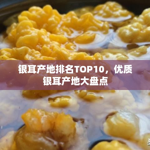 蝇声蛙噪