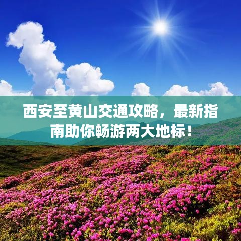 夯雀儿先飞