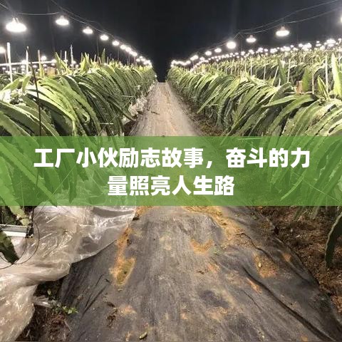 沉厚寡言