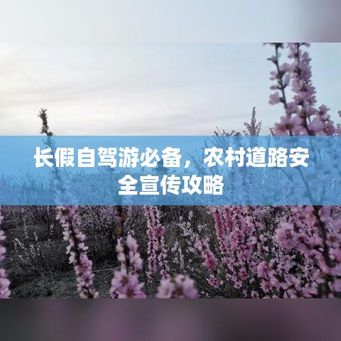 洁身自好