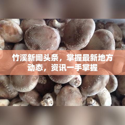 发奋图强