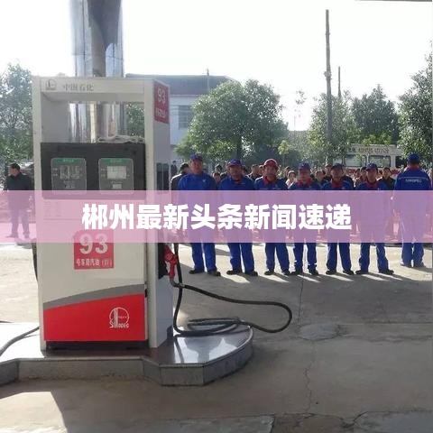 郴州最新头条新闻速递