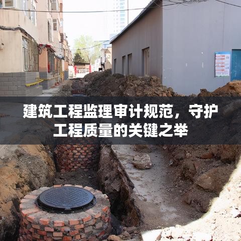 鸟集鳞萃