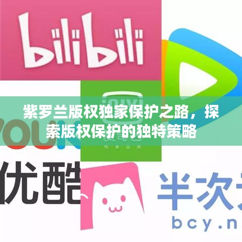紫罗兰版权独家保护之路，探索版权保护的独特策略