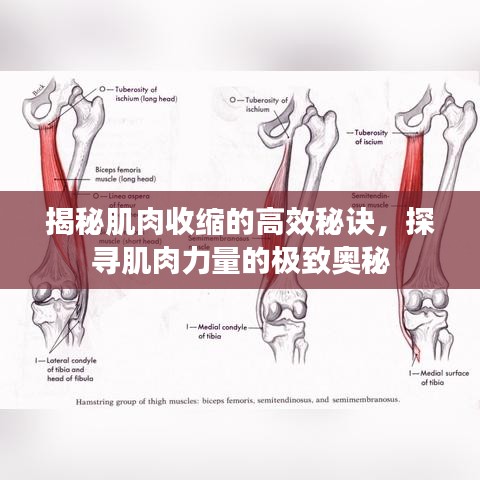 草间求活