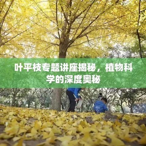 弃文就武