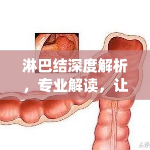 眉清目秀