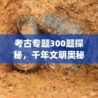 纲挈目张