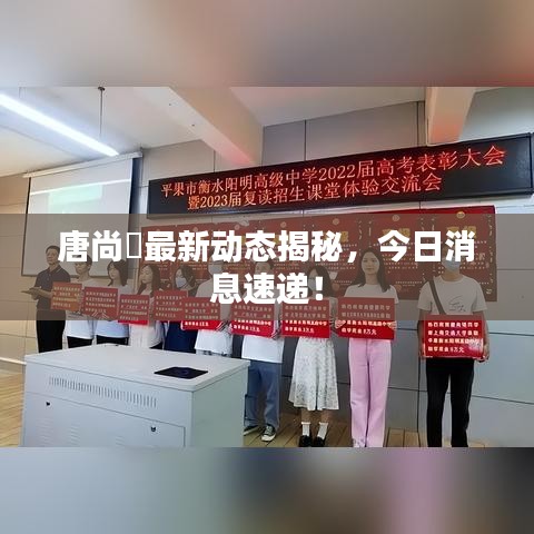 唐尚珺最新动态揭秘，今日消息速递！
