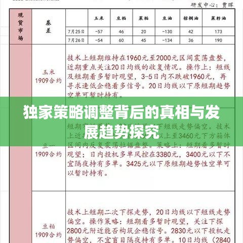 独家策略调整背后的真相与发展趋势探究