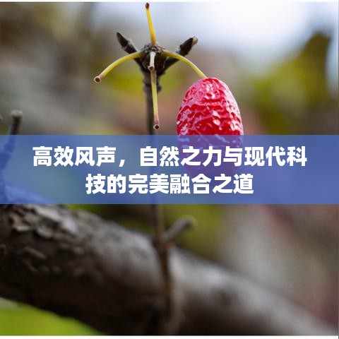 贵阴贱璧