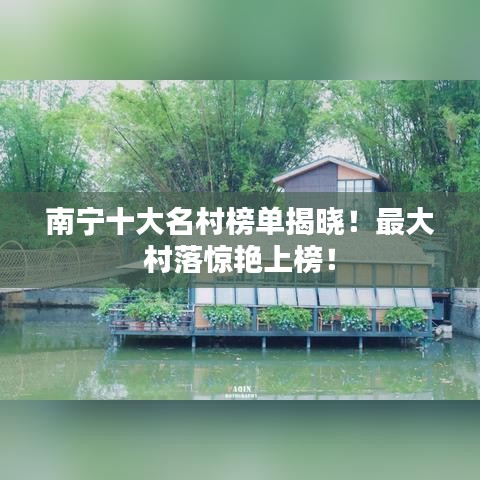 不飞则已
