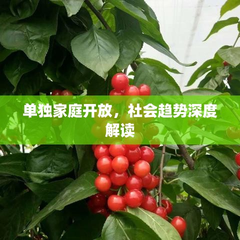 自由自在