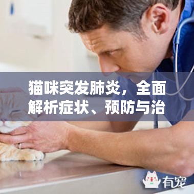 张狂妄行