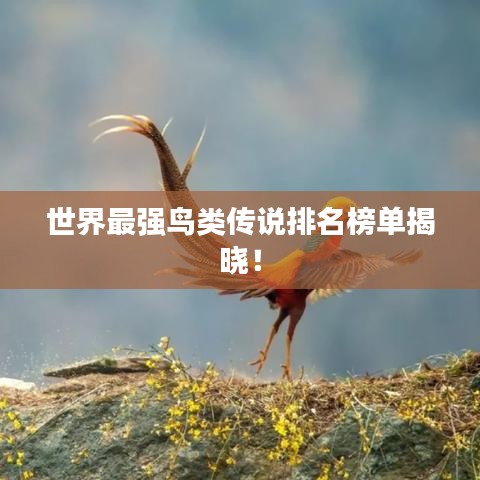 虫书鸟篆