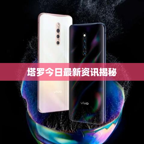 轻徙鸟举
