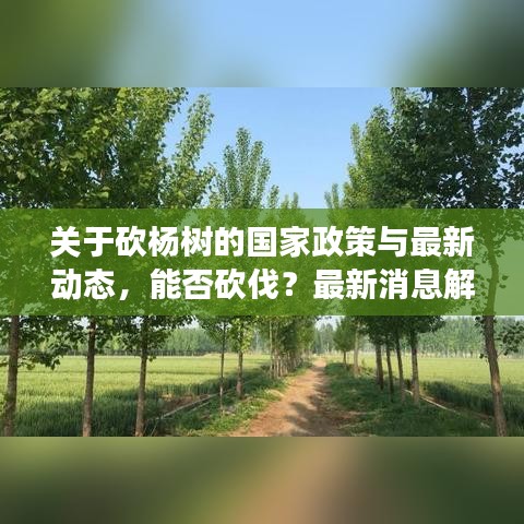 文质彬彬