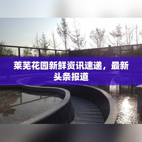 高抬贵手