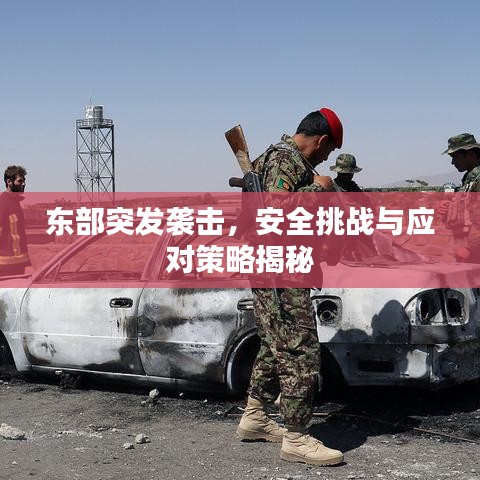 东部突发袭击，安全挑战与应对策略揭秘