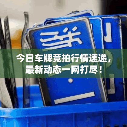 今日车牌竞拍行情速递，最新动态一网打尽！