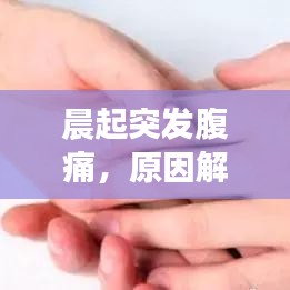 晨起突发腹痛，原因解析、应急处理与预防方法全攻略