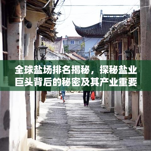 全球盐场排名揭秘，探秘盐业巨头背后的秘密及其产业重要性