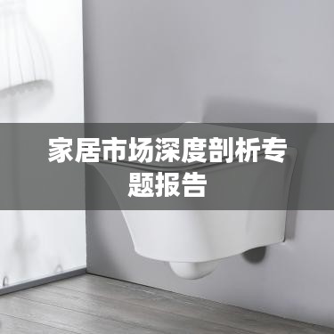 家居市场深度剖析专题报告