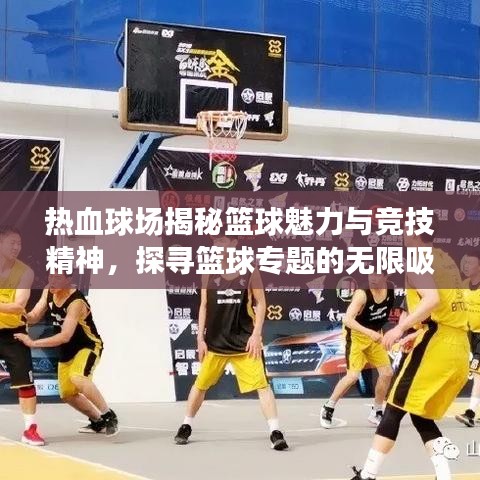 热血球场揭秘篮球魅力与竞技精神，探寻篮球专题的无限吸引力