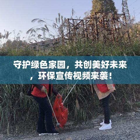 守护绿色家园，共创美好未来，环保宣传视频来袭！