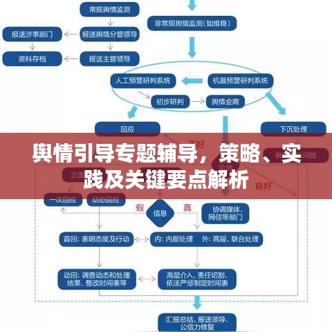 舆情引导专题辅导，策略、实践及关键要点解析
