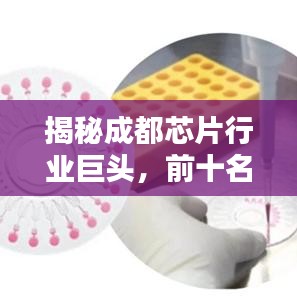 揭秘成都芯片行业巨头，前十名公司榜单