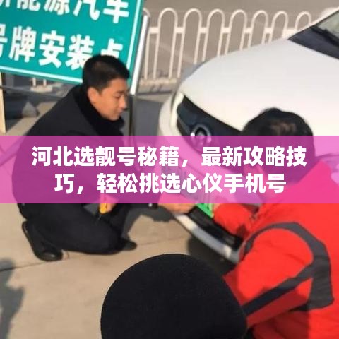 河北选靓号秘籍，最新攻略技巧，轻松挑选心仪手机号