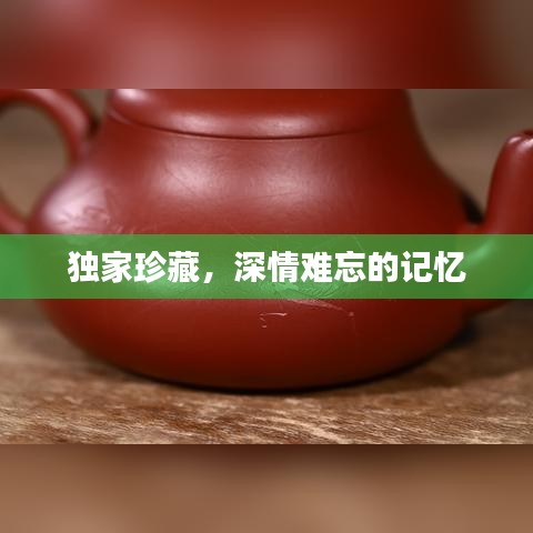 独家珍藏，深情难忘的记忆