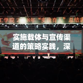 实施载体与宣传渠道的策略实践，深度解析与运用