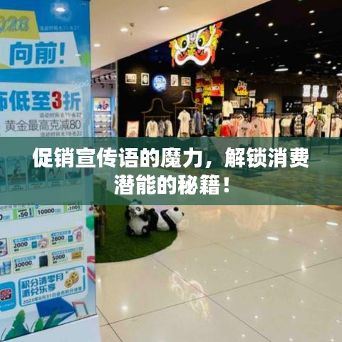 促销宣传语的魔力，解锁消费潜能的秘籍！