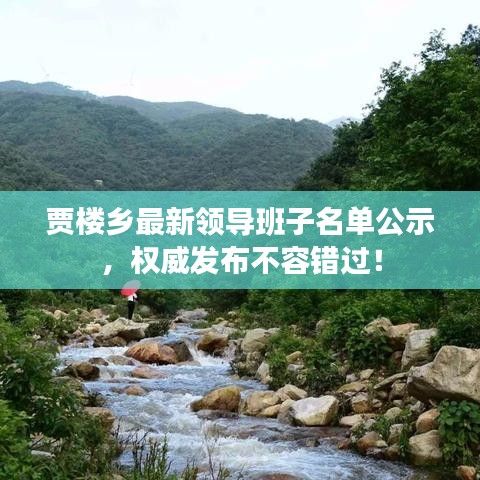 贾楼乡最新领导班子名单公示，权威发布不容错过！
