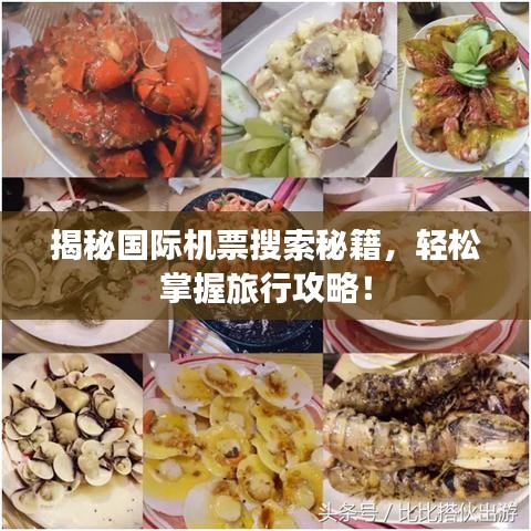 揭秘国际机票搜索秘籍，轻松掌握旅行攻略！
