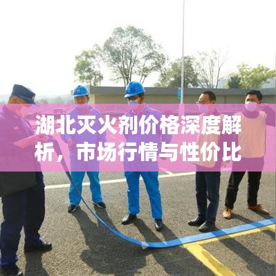 湖北灭火剂价格深度解析，市场行情与性价比对比