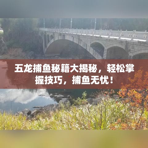 五龙捕鱼秘籍大揭秘，轻松掌握技巧，捕鱼无忧！