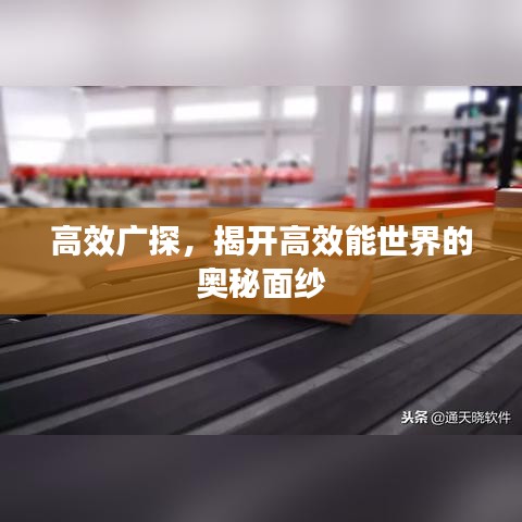 高效广探，揭开高效能世界的奥秘面纱