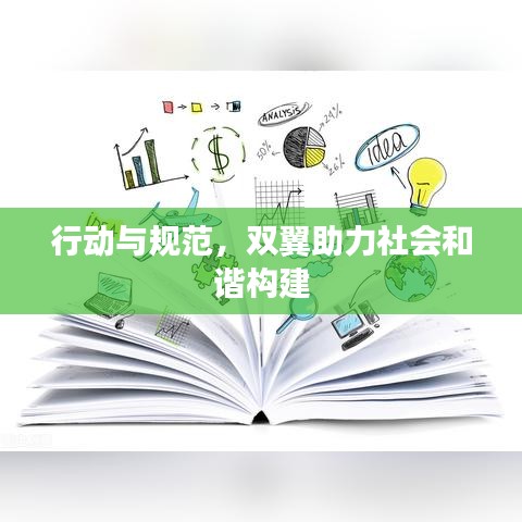行动与规范，双翼助力社会和谐构建