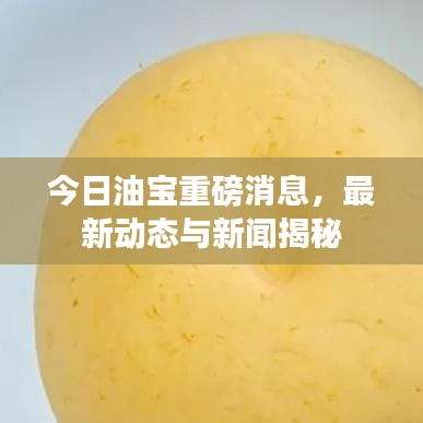 今日油宝重磅消息，最新动态与新闻揭秘