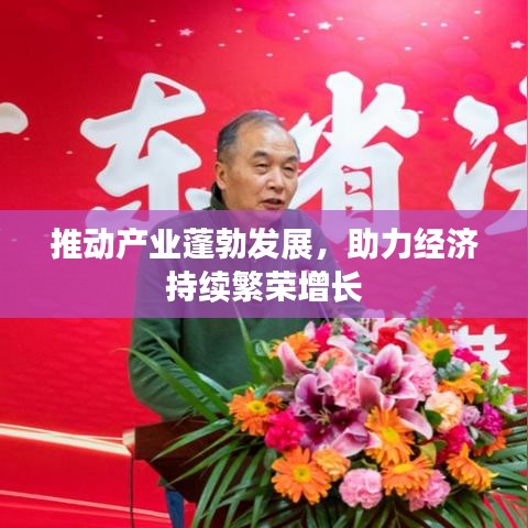 推动产业蓬勃发展，助力经济持续繁荣增长